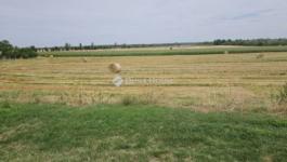 Eladó lakóövezeti telek Iváncsa