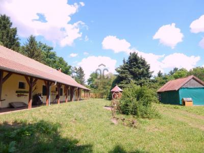 Eladó családi ház Oszkó