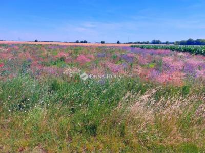 Eladó lakóövezeti telek Besnyő