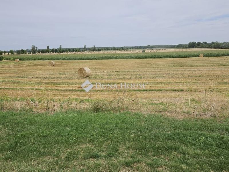 Eladó lakóövezeti telek Iváncsa