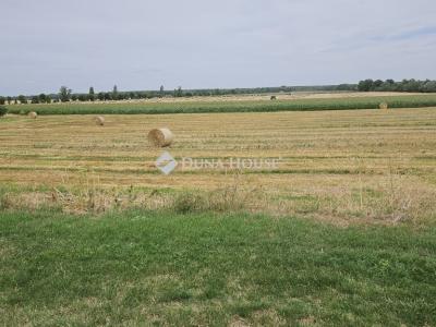 Eladó lakóövezeti telek Iváncsa