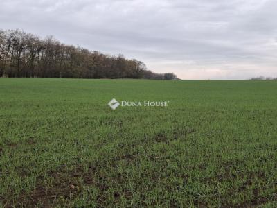 Eladó egyéb telek Hatvan