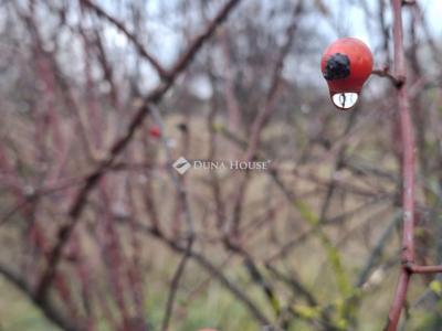 Eladó egyéb telek Hatvan