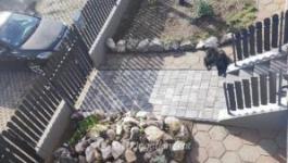 Eladó családi ház Debrecen