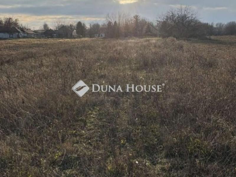 Eladó egyéb telek Monor Monorierdő