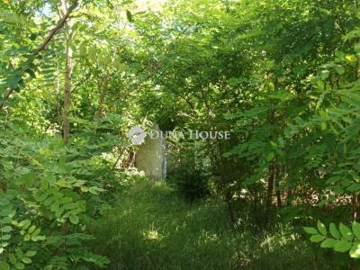 Eladó külterületi telek Tápióbicske