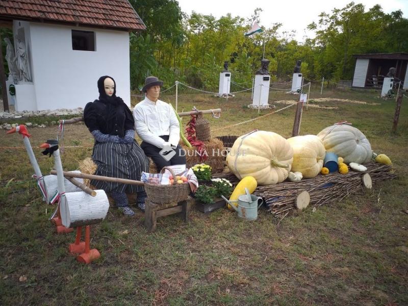 Eladó külterületi telek Farmos