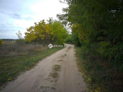 Eladó külterületi telek Farmos