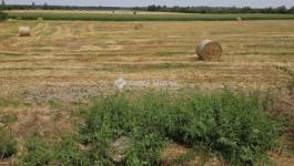 Eladó külterületi telek Iváncsa