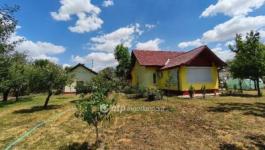 Eladó tanya Székkutas