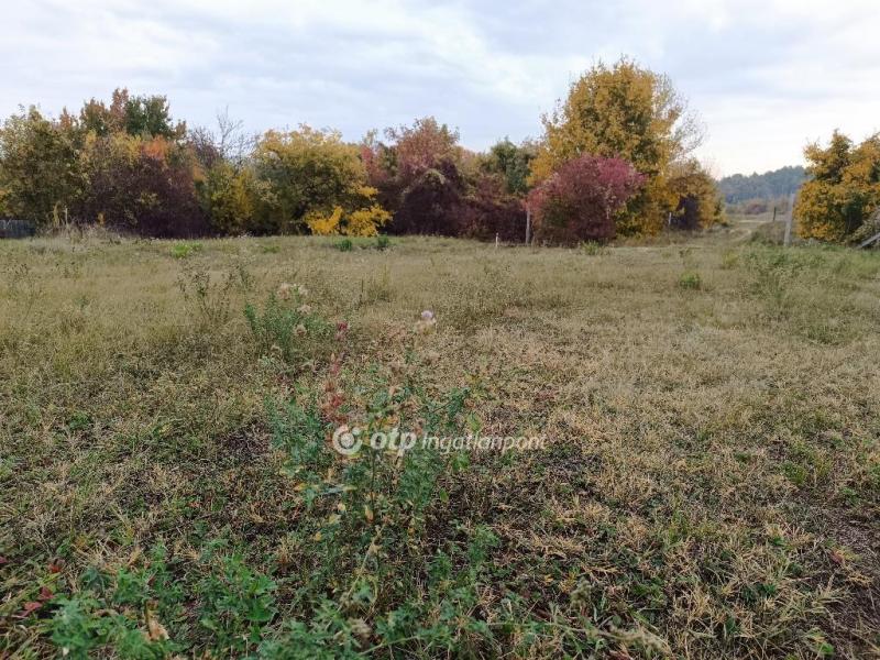 Eladó lakóövezeti telek Solymár