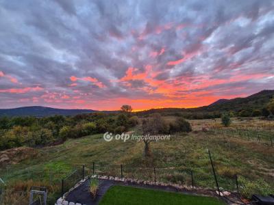 Eladó családi ház Solymár