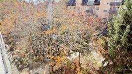 Eladó lakás Tököl