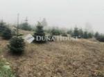 Eladó külterületi telek Surd
