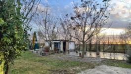 Eladó tanya Kecskemét