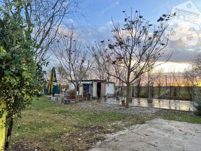 Eladó tanya Kecskemét