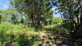 Eladó lakóövezeti telek Szeged