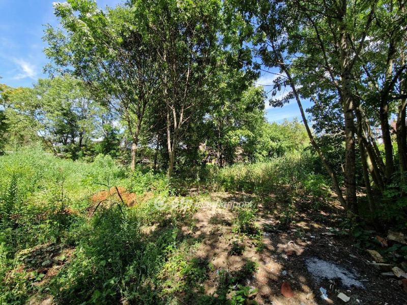 Eladó lakóövezeti telek Szeged