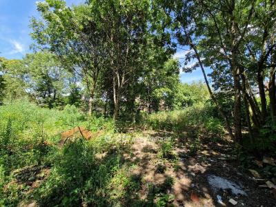 Eladó lakóövezeti telek Szeged