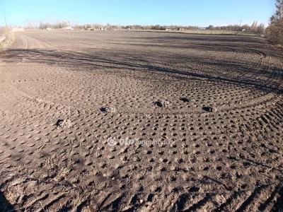 Eladó lakóövezeti telek Balástya