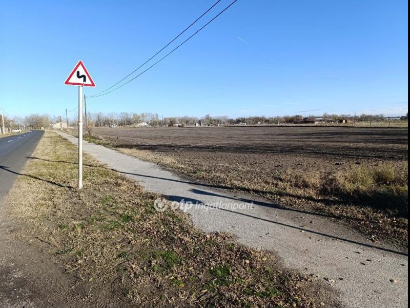 Eladó lakóövezeti telek Balástya