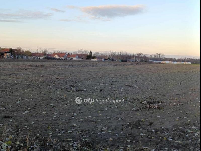 Eladó lakóövezeti telek Üllés