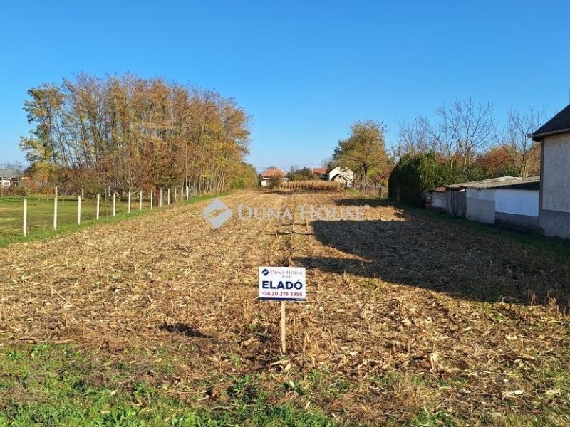 Eladó lakóövezeti telek Tenk