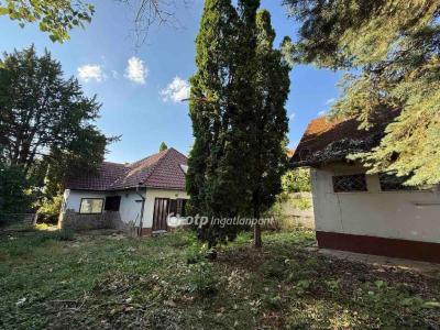 Eladó családi ház Budapest