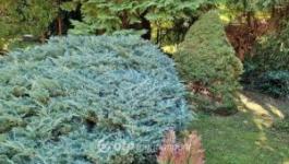 Eladó családi ház Budapest