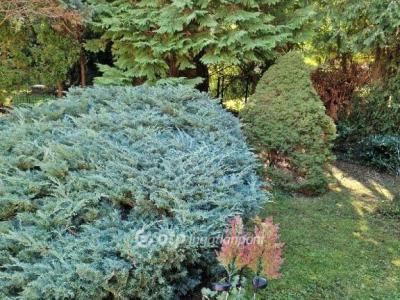 Eladó családi ház Budapest