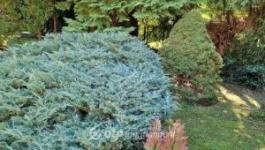 Eladó családi ház Budapest