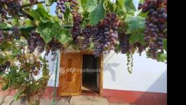 Eladó családi ház Mezőkovácsháza