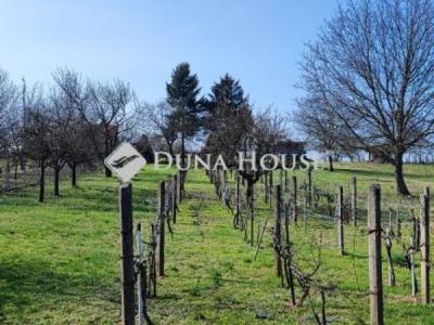 Eladó külterületi telek Hatvan