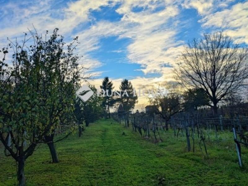 Eladó külterületi telek Hatvan