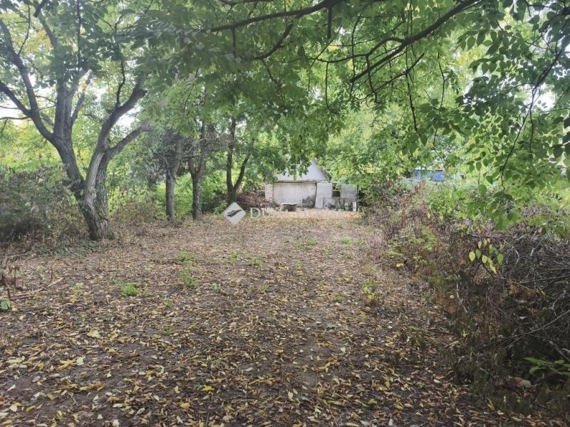 Eladó tanya Gyömrő