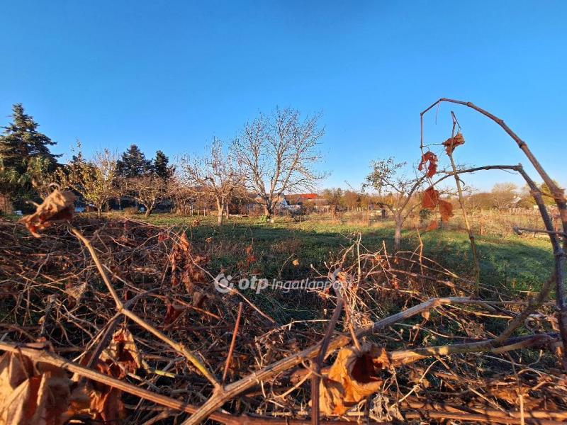 Eladó lakóövezeti telek Ádánd