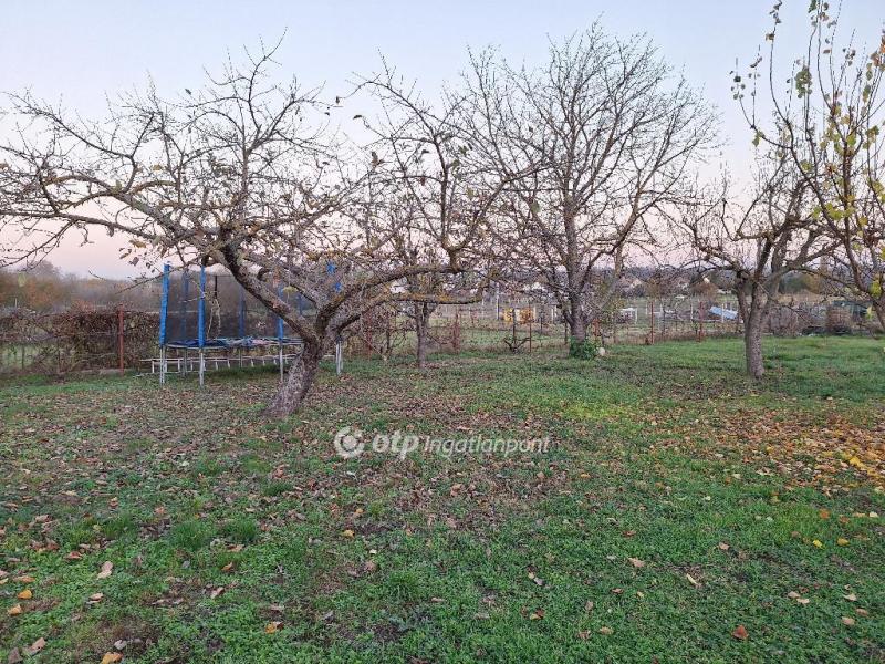 Eladó lakóövezeti telek Ádánd