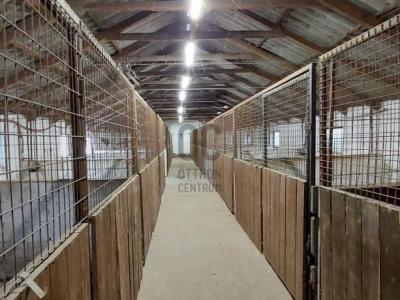 Eladó családi ház Halásztelek