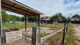 Eladó családi ház Halásztelek