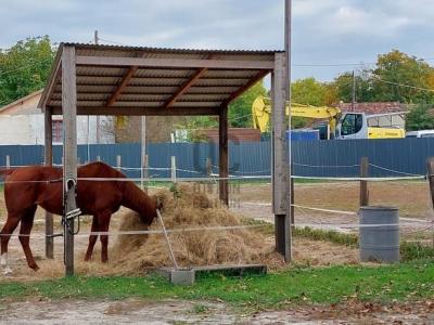 Eladó családi ház Halásztelek
