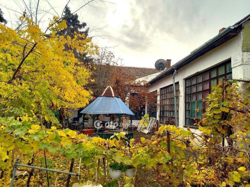 Eladó családi ház Csongrád