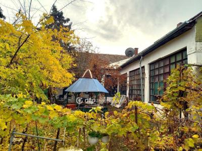 Eladó családi ház Csongrád