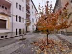 Eladó lakás Szeged