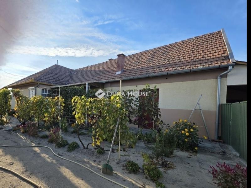 Eladó családi ház Dabas