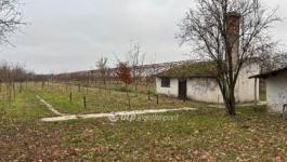 Eladó egyéb telek Gyula