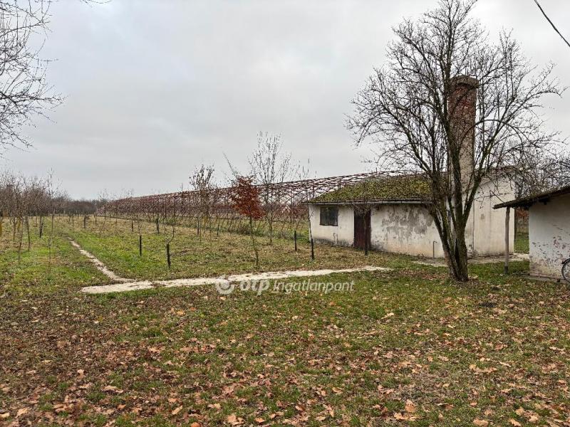 Eladó egyéb telek Gyula