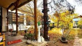 Eladó családi ház Csongrád