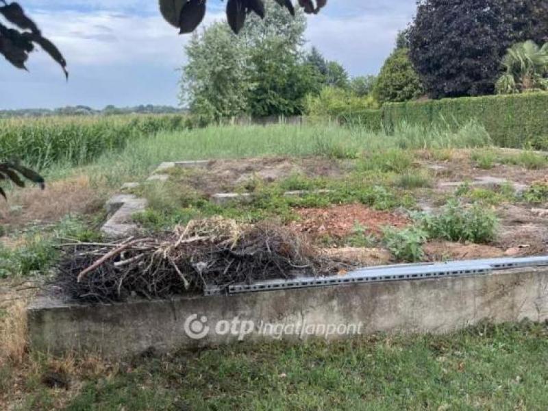 Eladó lakóövezeti telek Csongrád