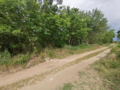 Eladó lakóövezeti telek Hajdúsámson