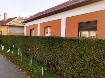 Eladó családi ház Nagykőrös
